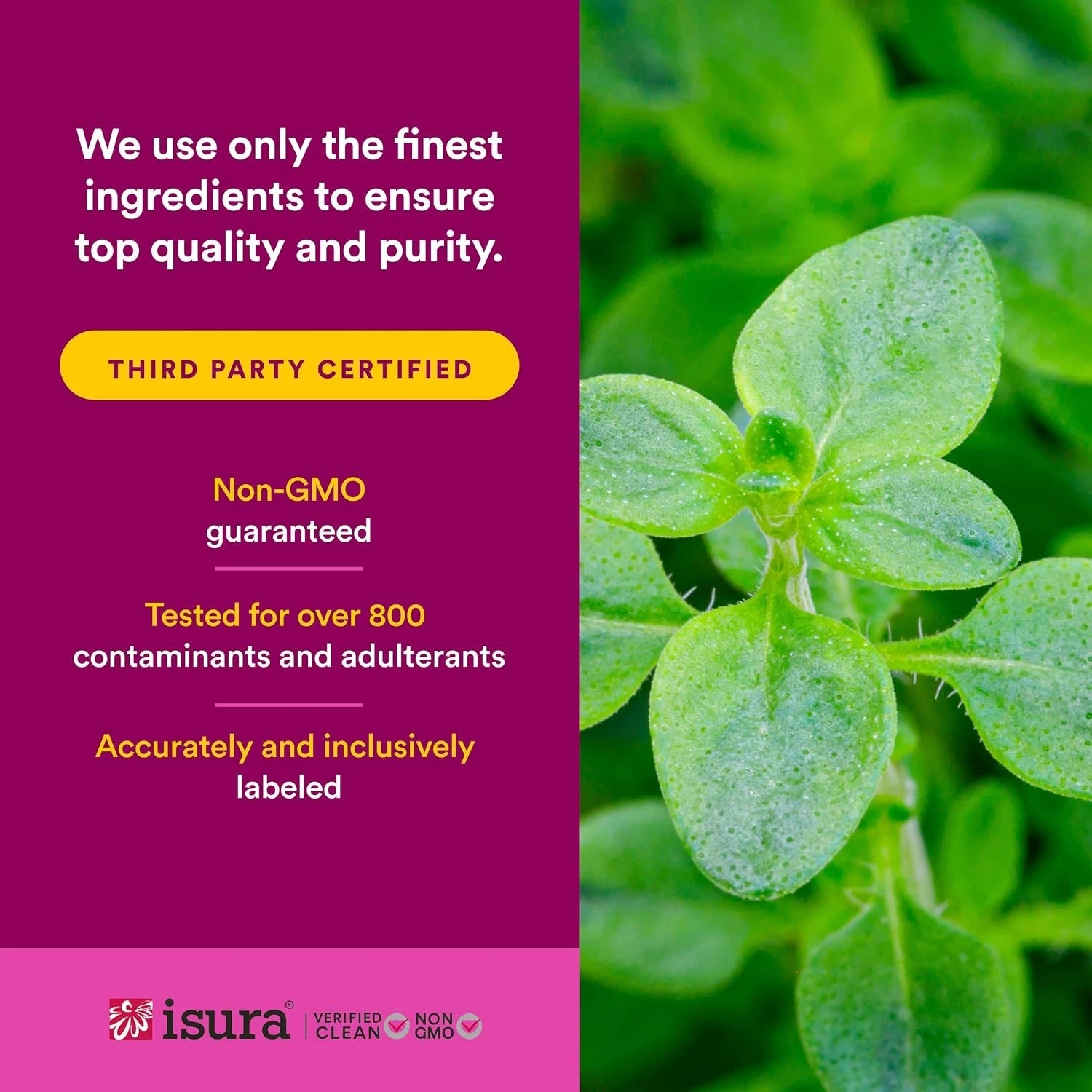 nf oil of oregano 5 nf oil of oregano 5
